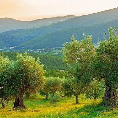 La Mita Sleeps 8 With Pool And Wifi * Preggio