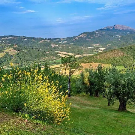 Appartement La Mita Sleeps 8 With Pool And Wifi Preggio